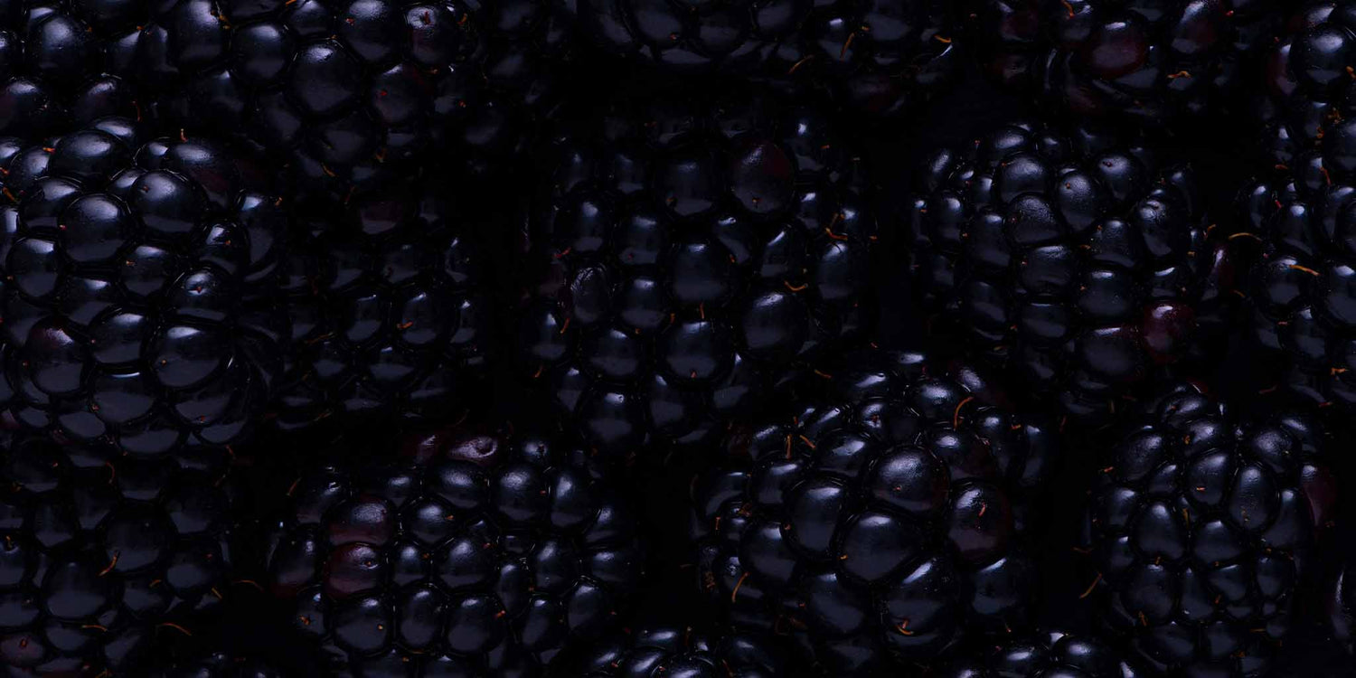 Closeup shot of a mound of lusciously dark blackberries