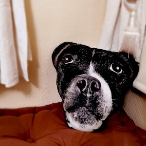 Pet Face! Mega Size - Shape 3