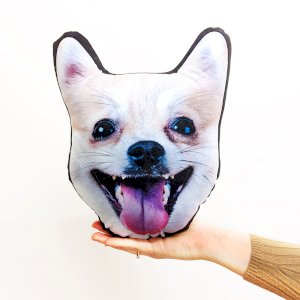 Pet Face! Shape 1