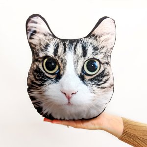 Pet Face! Shape 2