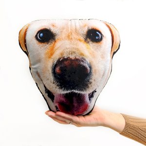 Pet Face! Shape 3
