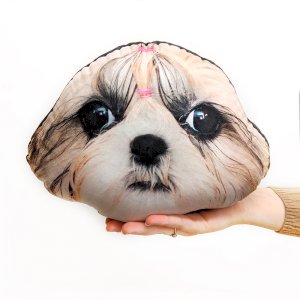 Pet Face! Shape 4