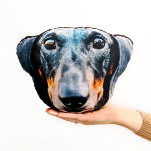 Pet Face! Shape 5